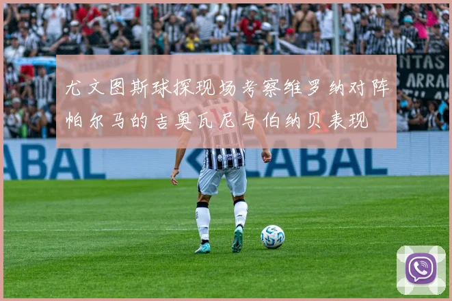 尤文图斯球探现场考察维罗纳对阵帕尔马的吉奥瓦尼与伯纳贝表现